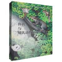 �����c�����(d��ng)��Ĺ���