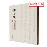 ����Ӣ�������x��