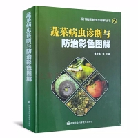 �Ϻ���:����ؔ(c��i)��(j��ng)������W(xu��)����ϵ�W(xu��)����Ʒ�x��2020��(j��)