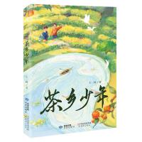  ���l(xi��ng)����