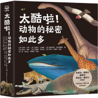  ̫��������(d��ng)���������˶ࣨȫ12�ԣ�