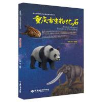 �ؑc�����ﻯʯ