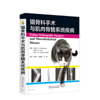 ؈�ǿ����g(sh��)�c�������ϵ�y(t��ng)����