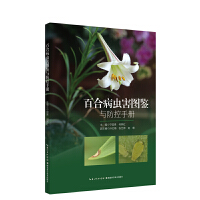 �ٺϲ��x(ch��ng)���D�b�c�����փ�(c��)