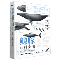 �L��ٿ�ȫ��