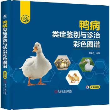  ����Y�b�e�c�\�β�ɫ�D�V ����P