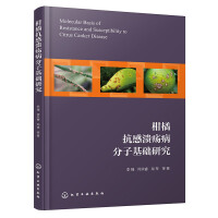 ���ٿ��Н��������ӻ��A�о�