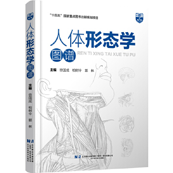  ���w�ΑB(t��i)�W�D�V