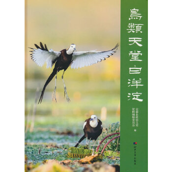  �B(ni��o)����ð����