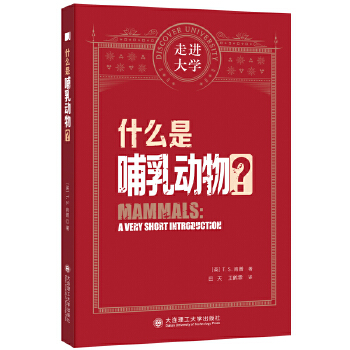  ʲô�ǲ������ ���M��Wϵ�Ѕ���