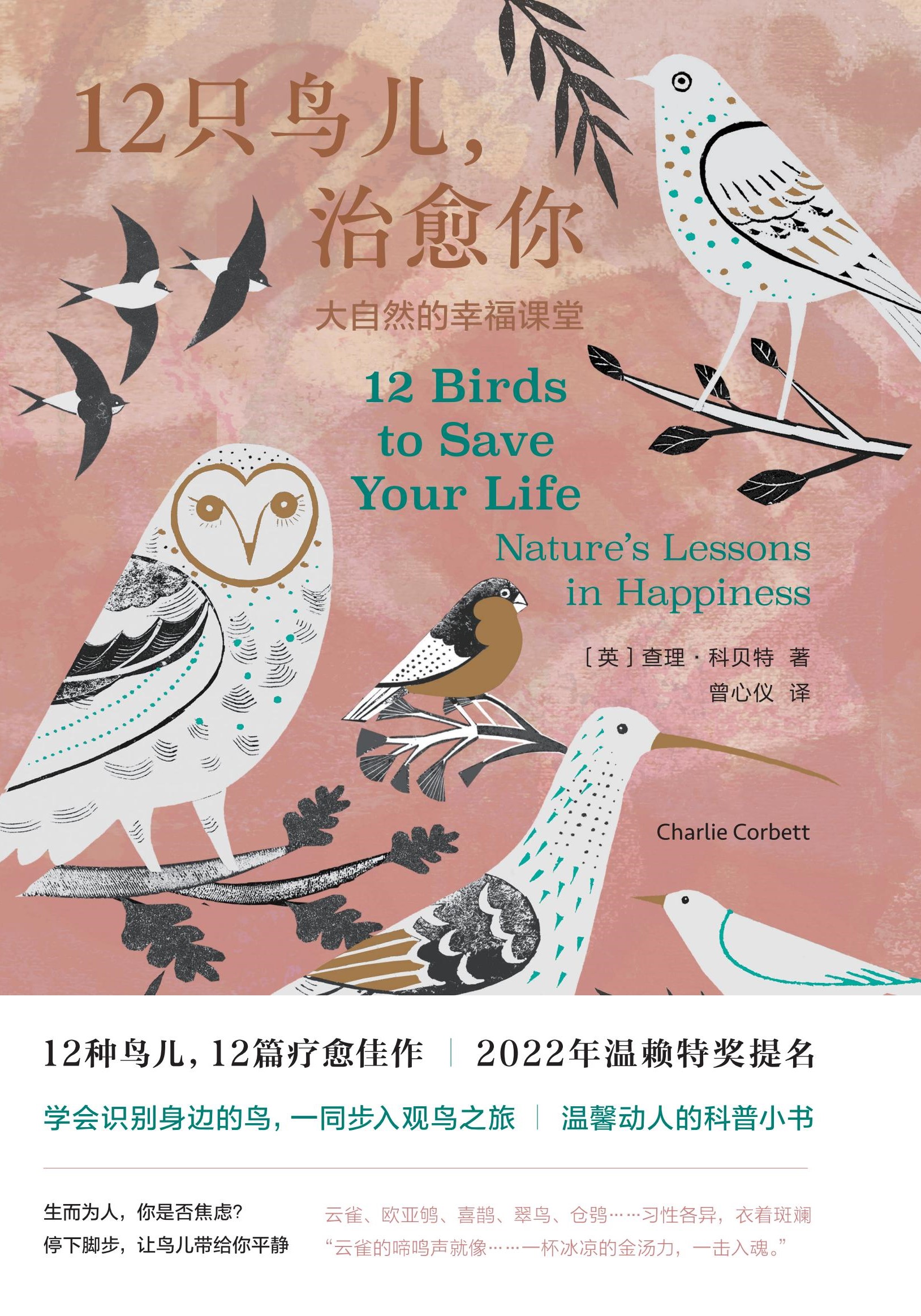 12ֻ�B(ni��o)����������