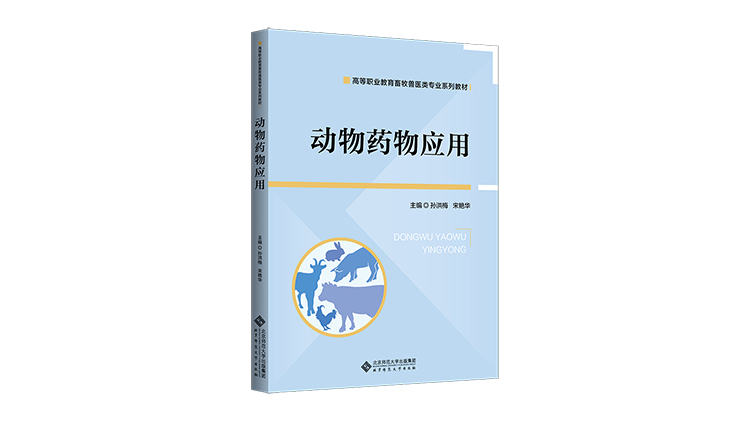 ����ˎ���