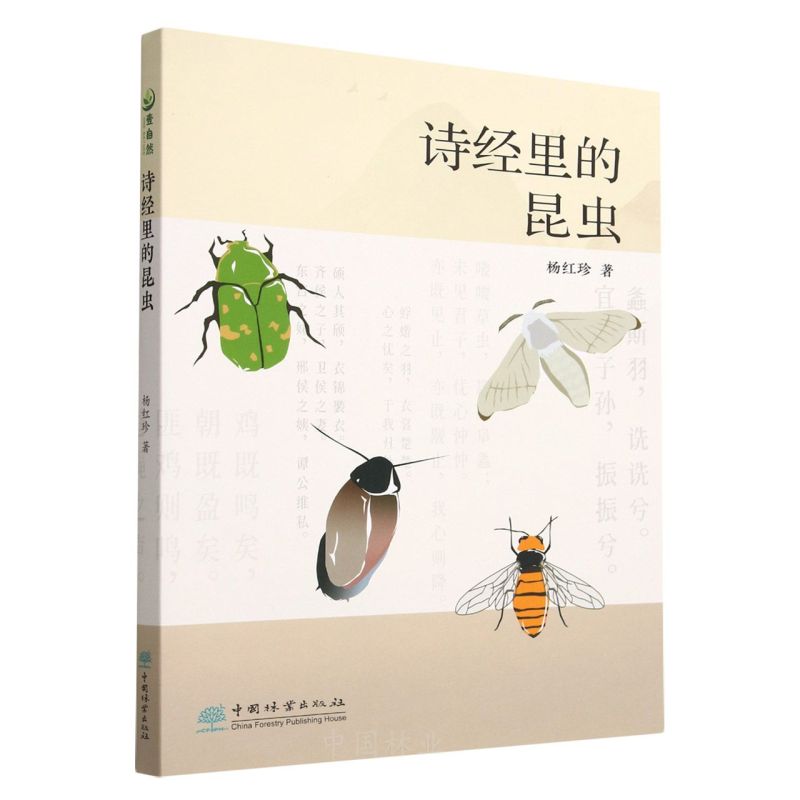 Ԋ��(j��ng)������x