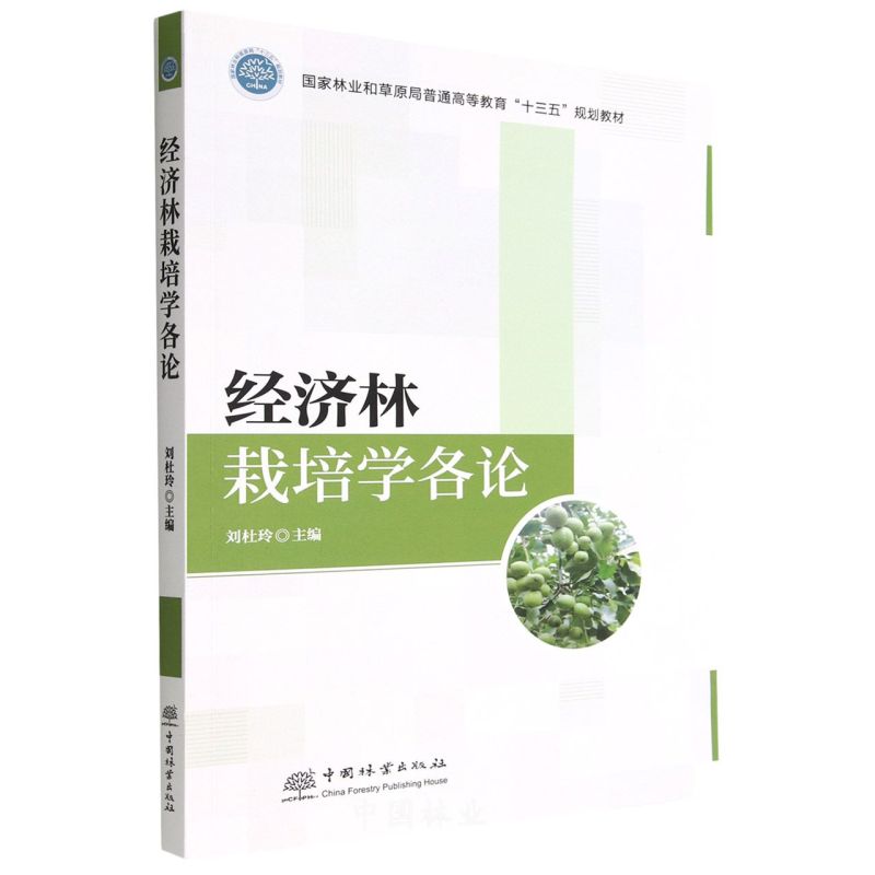 �����������W��Փ