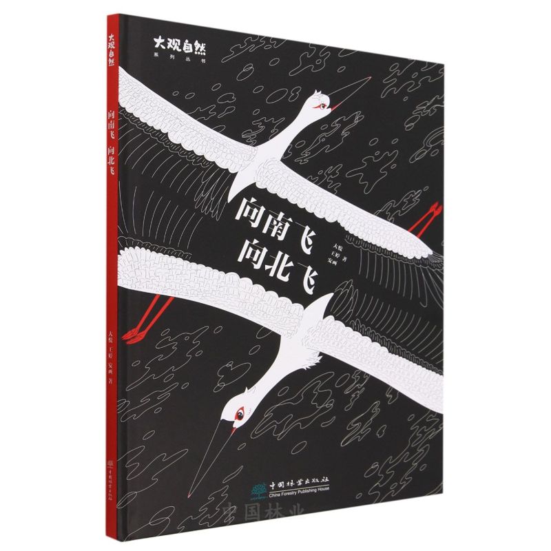 �����w�����w