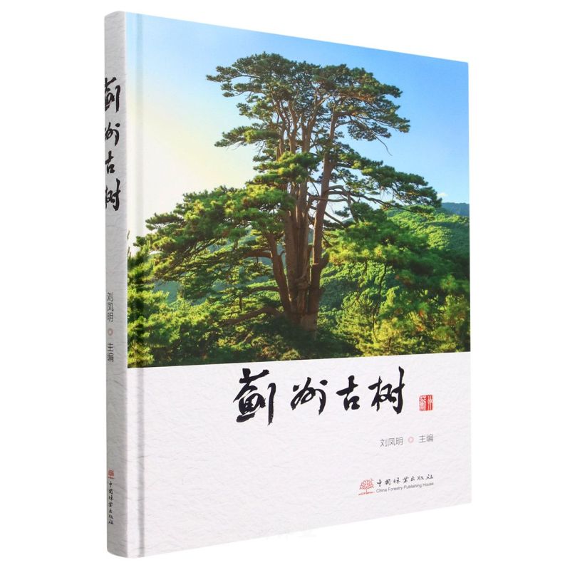 �E�ݹŘ�(��)