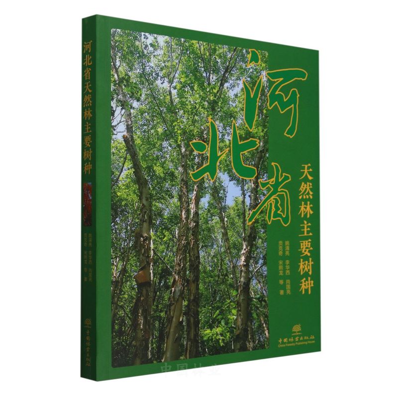 �ӱ�ʡ��Ȼ����Ҫ��N