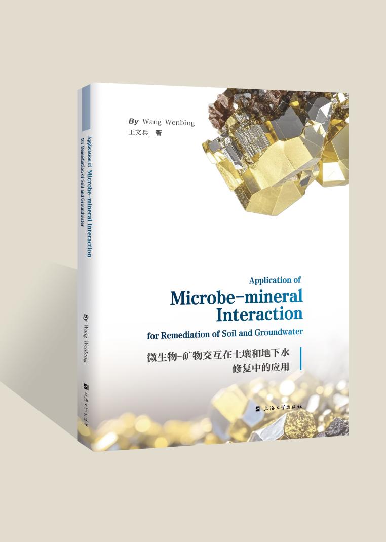 ΢����-�V�ｻ���������͵���ˮ�ޏ�(f��)�еđ�(y��ng)�ã�Application of Microbe-mineral Interaction for Remediation of Soil and Groundwater