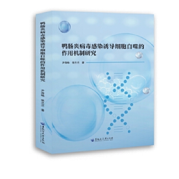  ���c�ײ�����Ⱦ�T��(d��o)�������ɵ����ÙC���о�