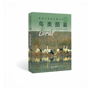  �S�ӿڇ��ҹ��@����