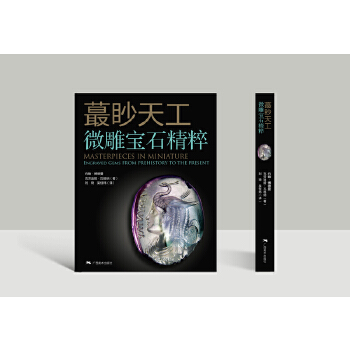  ީ���칤����΢��ʯ����