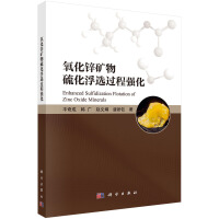 �����\�V���򻯸��x�^�̏�(qi��ng)��