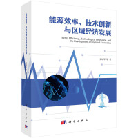 ��ԴЧ�������g(sh��)��(chu��ng)���c�^(q��)��(j��ng)��(j��)�l(f��)չ