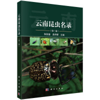 �������x(ch��ng)��䛣���������