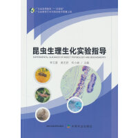 ���x����������(sh��)�(y��n)ָ��(d��o)