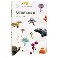 ����������A(ch��)���