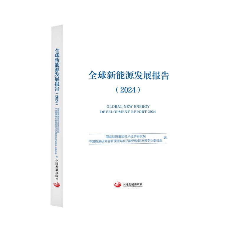 ȫ������Դ�l(f��)չ��棨2024��