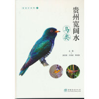 �F�݌��ˮ�B�(��)