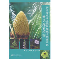 �Ĵ���֦���K�F���Ҽ���Ȼ���o�^(q��)��Ҋ�S��ֲ��