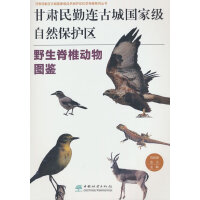 ���C�����B�ųǇ��Ҽ���Ȼ���o�^(q��)Ұ����׵����D�b/���C�����B�ųǇ��Ҽ���Ȼ���o�^(q��)�ƌW����ϵ�Ѕ���