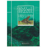 �׹�ɽ�ɗ����Є�(d��ng)��