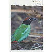 ���B���w