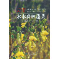 ����ľ��ɭ���߲�(��)