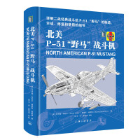 ����P-51��Ұ�R����(zh��n)���C