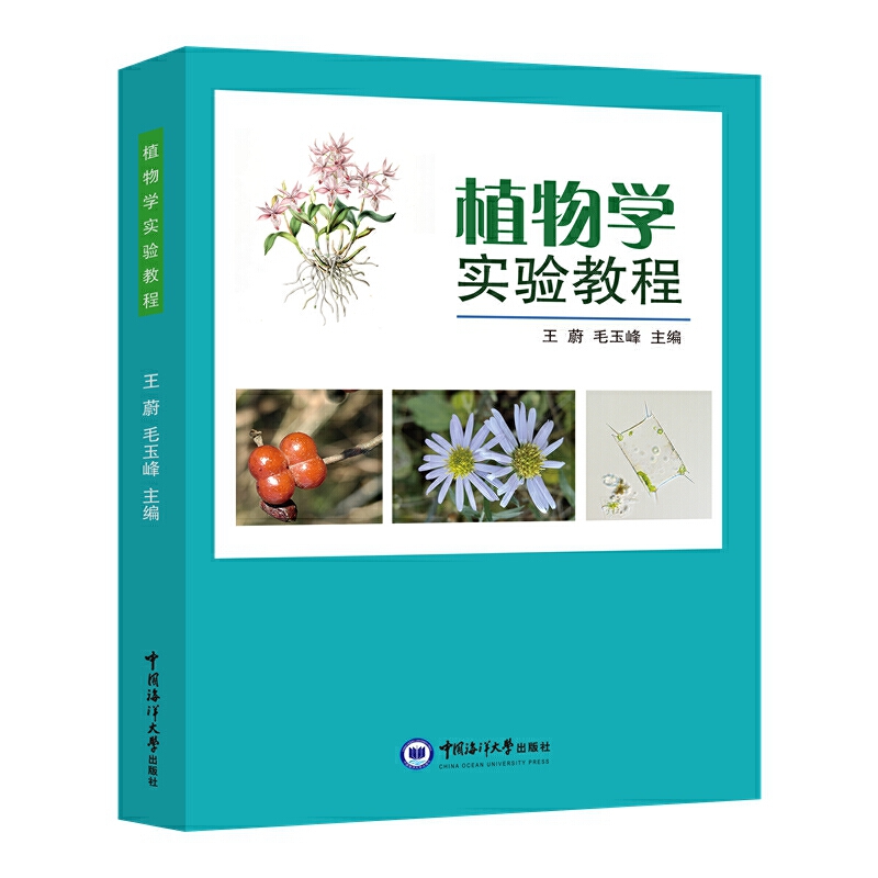 ֲ��W���̳�