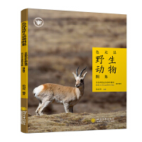 ɫ�_(d��)�hҰ����(d��ng)��D��