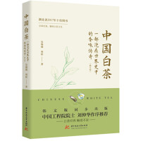 �Ї��ײ�:һ����������ʷ�е���ζ���棨��ӆ�棩