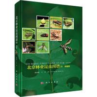 �����֘I(y��)���x�D�V��IV��Ĥ��Ŀ