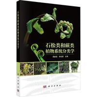 ʯ���ާ�ֲ��ϵ�y(t��ng)��W