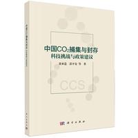 ���Ї�CO2�����c��棺�Ƽ�����(zh��n)�c���߽��h��