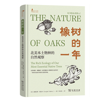 ����һ��