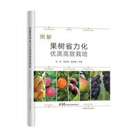 �D�����ʡ������(y��u)�|(zh��)��Ч����