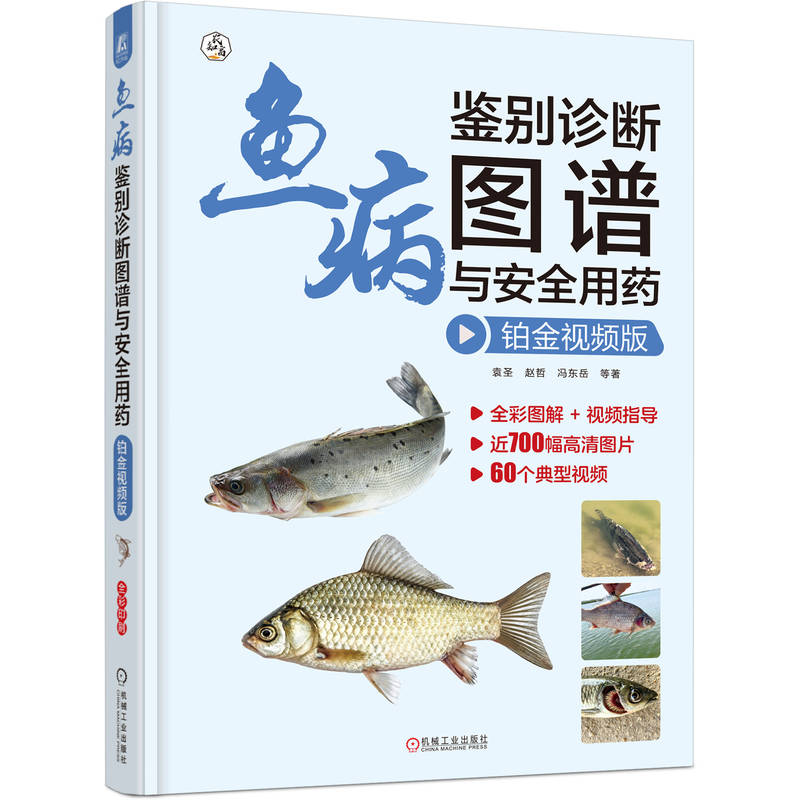 �~���b�e�\���D�V�c��ȫ��ˎ �K��ҕ�l�� Ԭʥ �w�� �T�|��