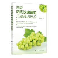 �D�fꖹ�õ�������P�I���༼�g(sh��)