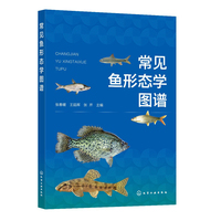 ��Ҋ�~�ΑB(t��i)�W(xu��)�D�V