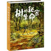 ��(sh��)����������